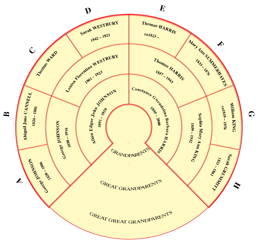 Overview