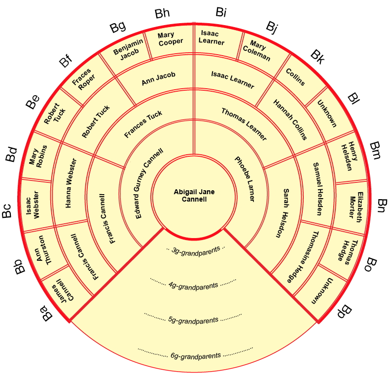 Overview
